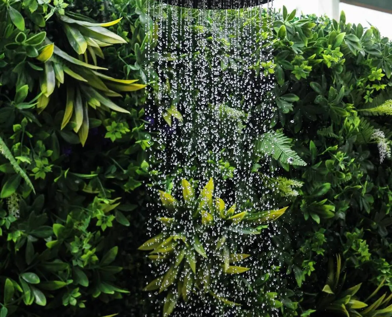Garden Of Eden Hotel Brenas